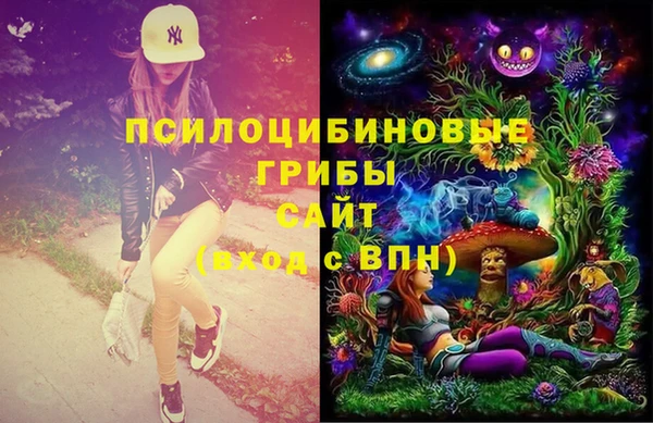 крисы Аркадак